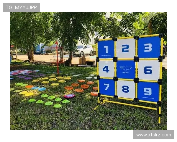 城市马拉松赛中北京飞盘队的团队意识与表现分析 城市马拉松赛中北京飞盘队的团队意识与表现分析