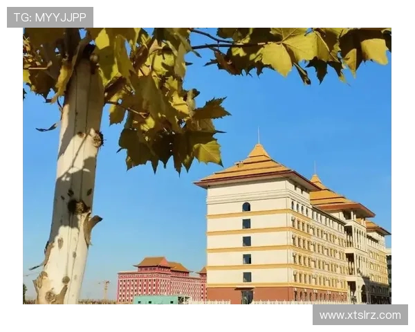 杭州足球队的崛起之路:从默默无闻到杯赛争冠的成长历程 杭州足球队的崛起之路:从默默无闻到杯赛争冠的成长历程