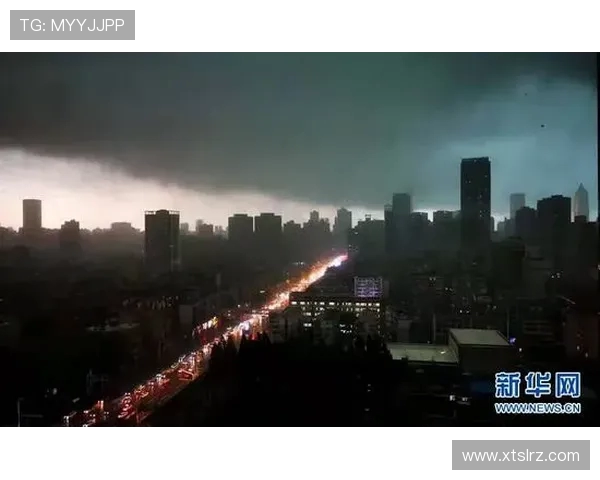 武汉滑板队战术之争引发热议球迷与教练的观点碰撞