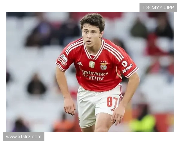 若昂内维斯：从新星崛起到足球舞台的闪耀之旅