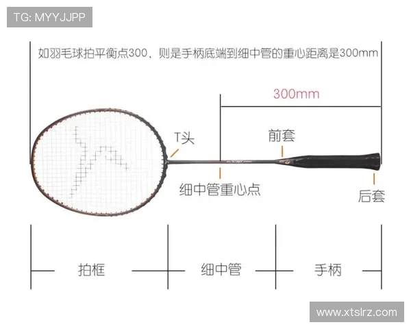 西安羽毛球队区域防守策略解析与深度剖析 西安羽毛球队区域防守策略解析与深度剖析
