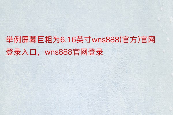 举例屏幕巨粗为6.16英寸wns888(官方)官网登录入口，wns888官网登录