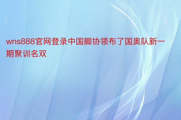 wns888官网登录中国脚协领布了国奥队新一期聚训名双